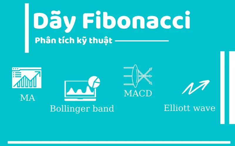 Fibonacci là gì? Tìm hiểu Fibonacci thoái lui và Fibonacci mở rộng