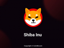 SHIBA Coin (SHIB) là gì? Tìm hiểu về đồng coin hot nhất mạng xã hội vừa qua chỉ sau DOGE coin