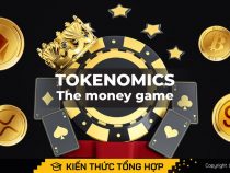 Tokenomics là gì? Hiểu rõ cuộc chơi để tăng tỷ lệ chiến thắng